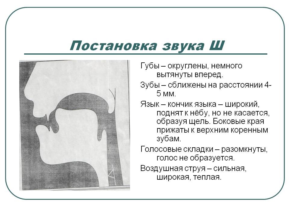 Артикуляция р картинка