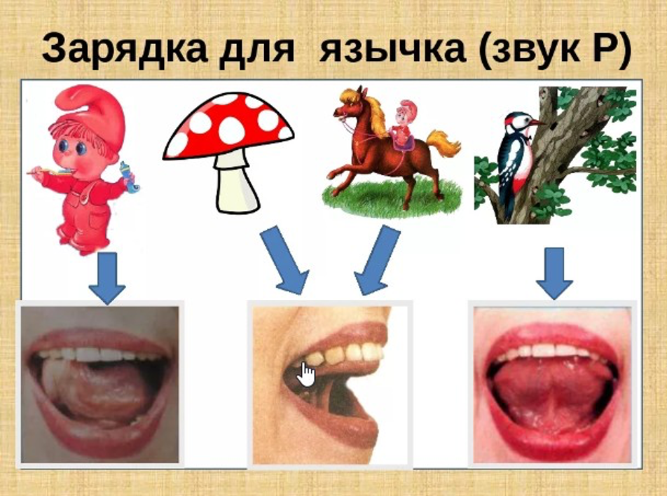 Картинки звуков речи. Артикуляционная гимнастика для соноров звуков. Постановки и автоматизация артикуляция звука р. Артикуляционная гимнастика для звука р. Постановка звука р артикуляция.