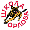 Программа Орлова