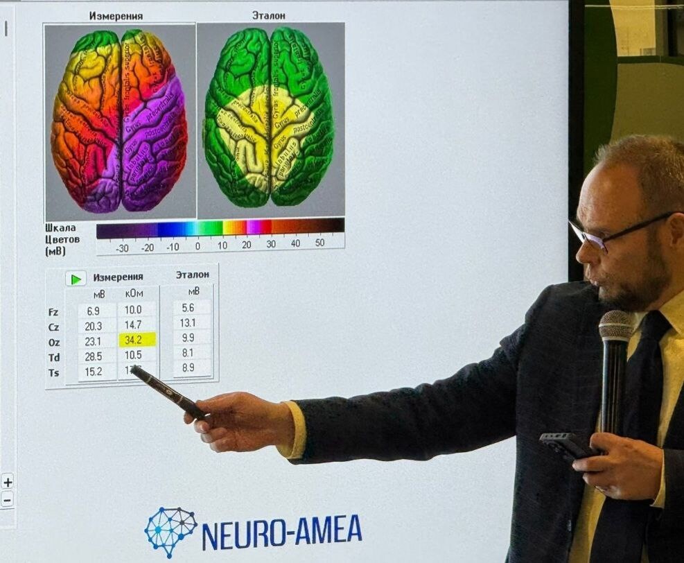 <p>Активность верхней коры головного мозга</p>