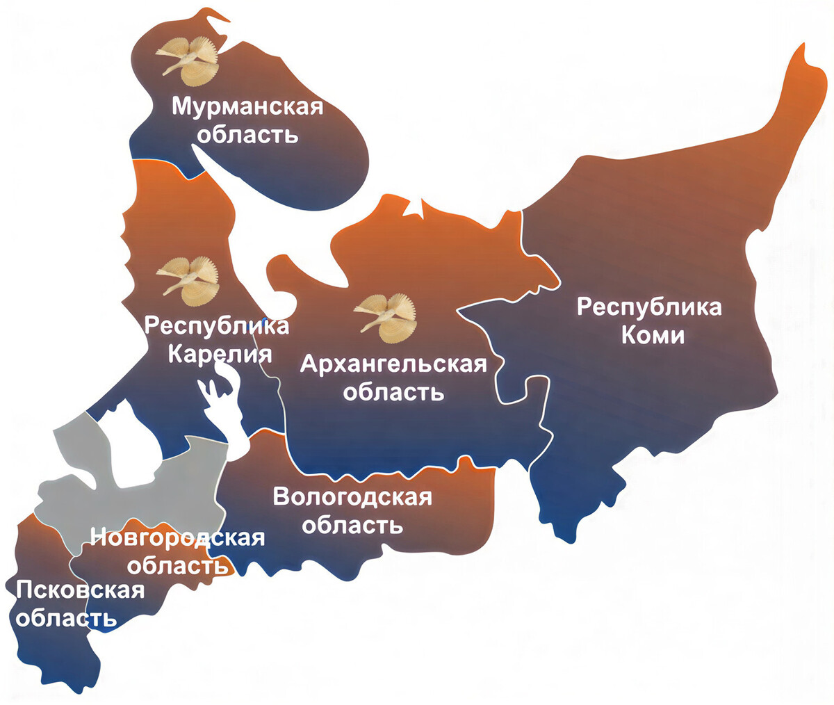 Родина поморского голубка