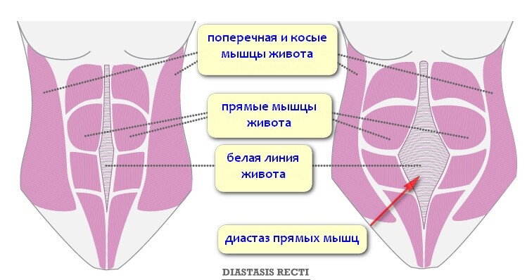 Анатомия женских половых органов. Киев, Печерск | 