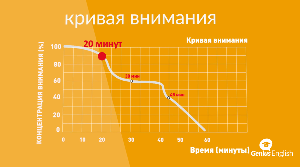 Английский за 30 часов