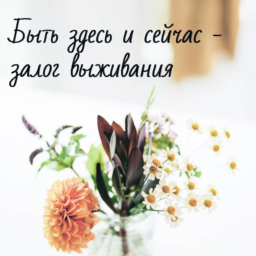 Надо здесь и сейчас. Здесь и сейчас. Живите здесь и сейчас. Жить здесь и сейчас. Здесь и сейчас цитаты.