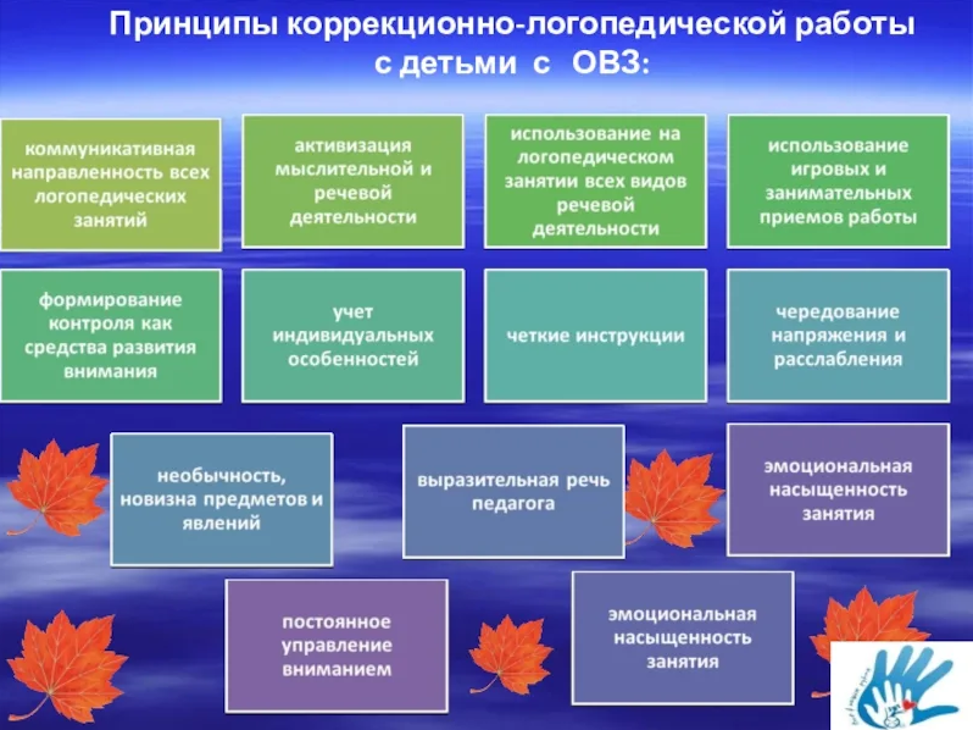 Организация коррекционного образования. Принципы коррекционной работы с детьми. Принципы организации логопедической работы. Принципы работы логопеда с детьми ОВЗ. Принципы работы с детьми с ОВЗ.