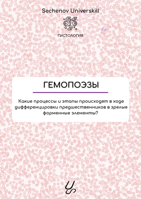 Sechenov universkill