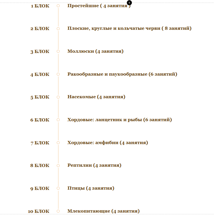 
		<p><strong>Предварительная программа курса.</strong></p>	