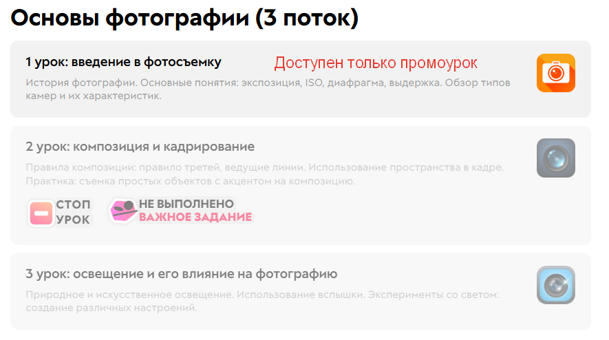 <p>Ученик без полного доступа может войти только в промоурок</p>