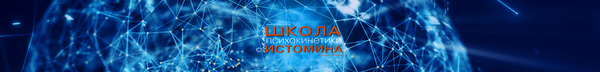 academy-istomin.com