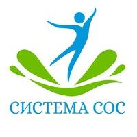 Глобальная школа системы СОС доктора В. И. Звягина