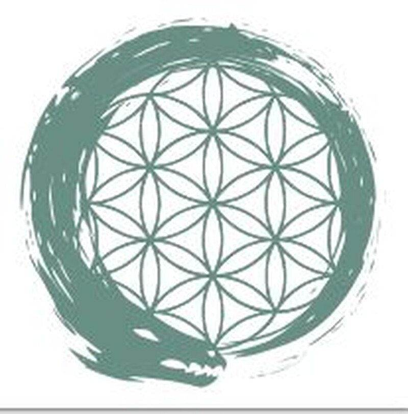 Институт Современной Восточной Медицины и Восстановления