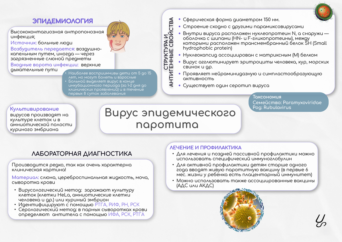 Эпидемический паротит клинические рекомендации у детей