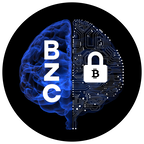 Brain Zone Crypto