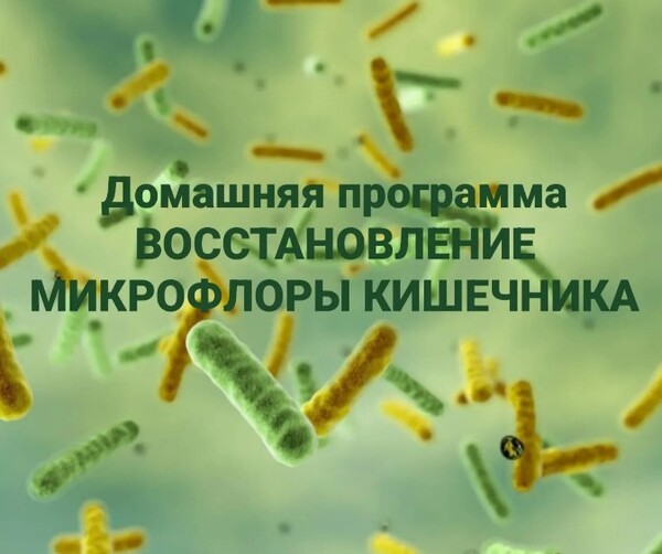 schooldetoxkafa.ru