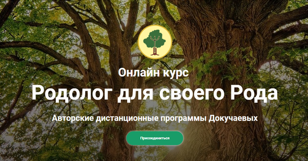 rodology.online