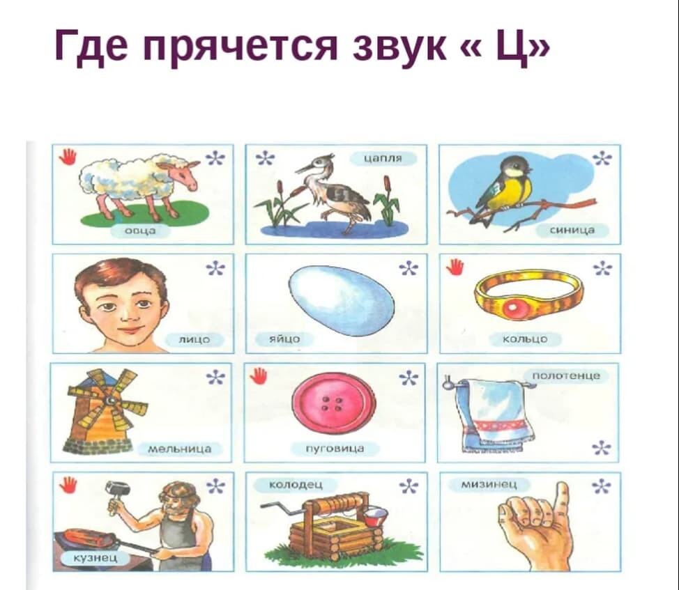 Дифференциация ц ч картинки