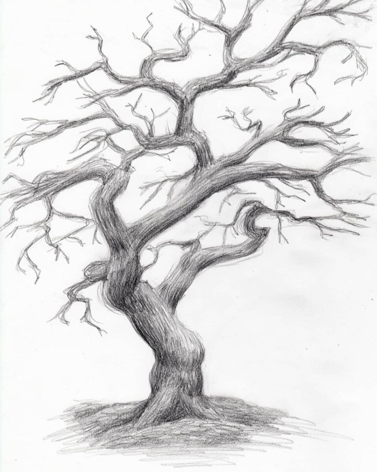 Как нарисовать (рисовать) дерево - поэтапные рисунки и видеоуроки